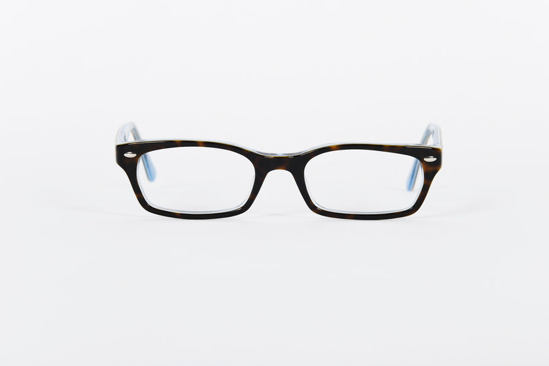 Tortoiseshell Ray-Ban frames with pale blue mottled inside