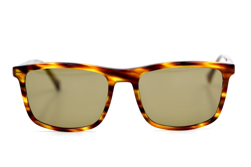 Paxton sunglasses. Men's stylish brown rectangular sunglasses.