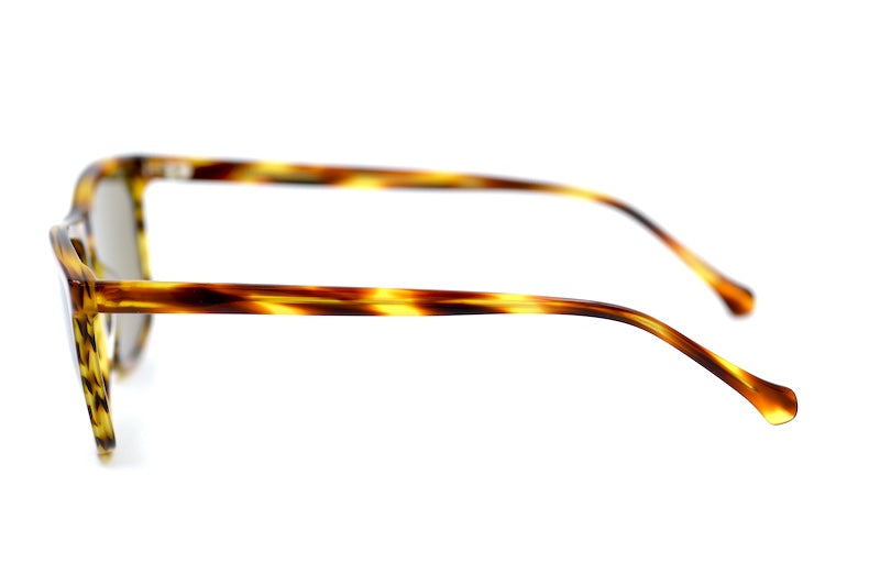 Paxton sunglasses. Men's stylish brown rectangular sunglasses.