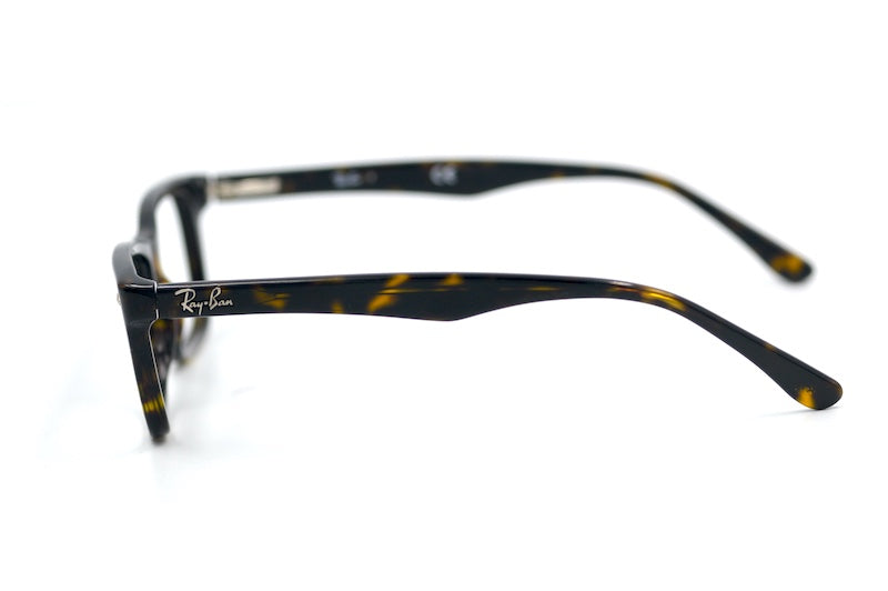 Ray-Ban 5228 2012 Glasses