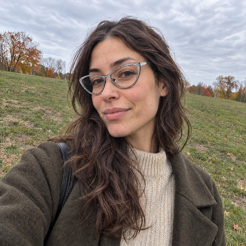 William Morris 1506 cat eye glasses. Silver glitter glasses. Silver Cat eye glasses. William Morris cat eye glasses. 